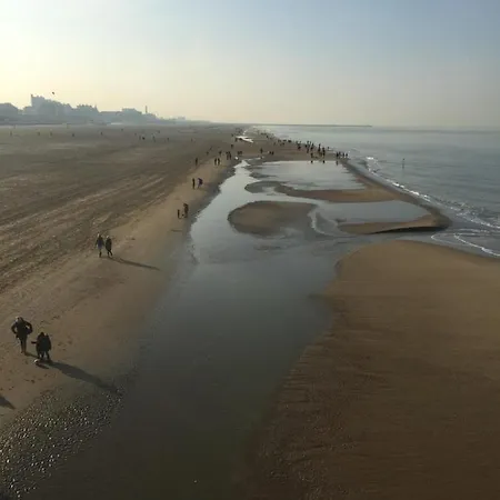 Bries - Scheveningen Hotel Den Haag