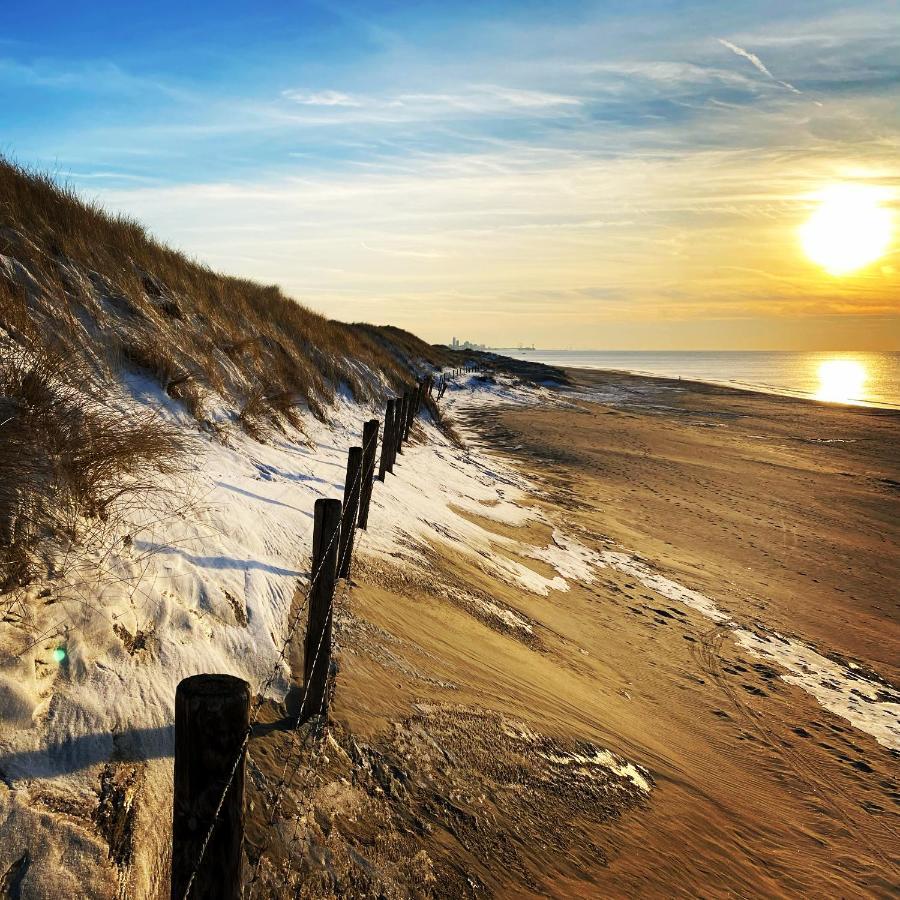 Bries - Scheveningen